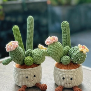 Pianta di cactus in vaso fai da te all'uncinetto: crea la tua!