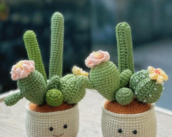 DIY Cactus Potted Plant Crochet Pattern – Craft Your Own!