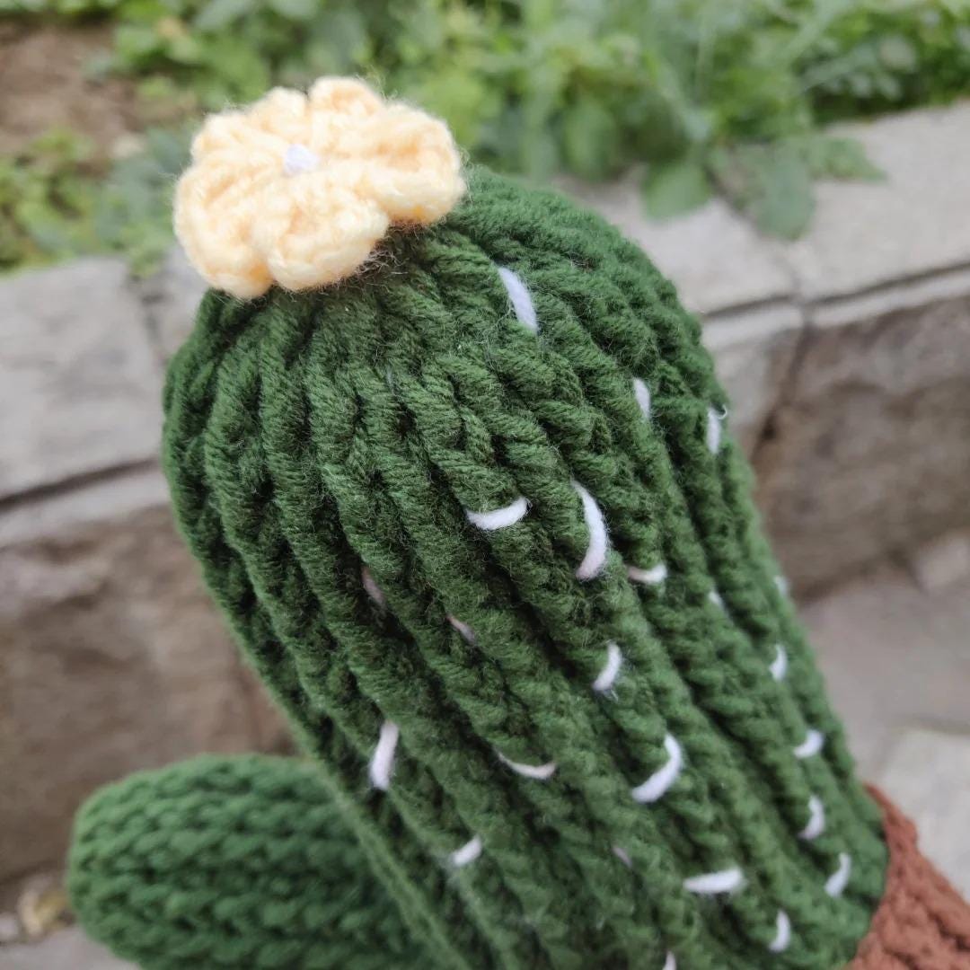 Guanto In Corda Di Cotone Cactus - Venduto Singolarmente, Nuovo Con Etichette