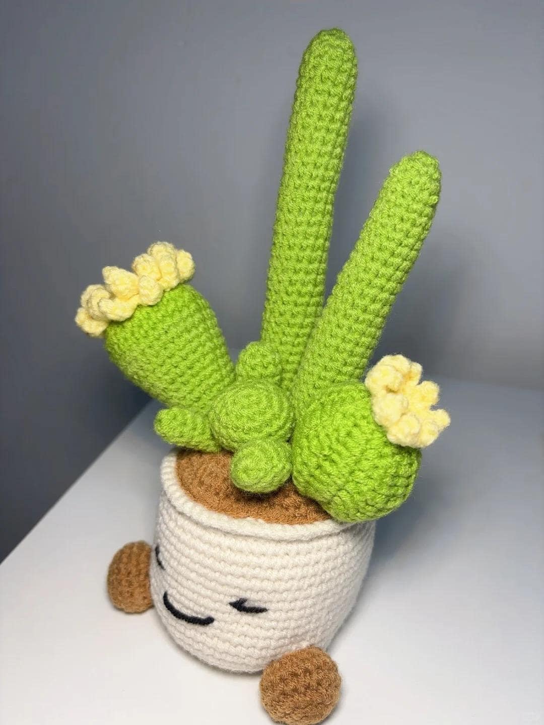 DIYサボテン鉢植えかぎ針編みパターン – 自分だけのオリジナルを作ろう