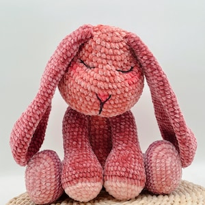 Adorabile schema all'uncinetto per coniglietto amigurumi dormiglione, 2 misure, design di peluche coniglietto