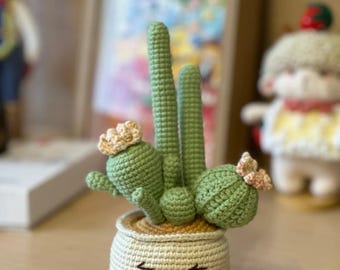 DIY サボテン鉢植えかぎ針編みパターン - 自分で作ろう！ - Etsy 日本