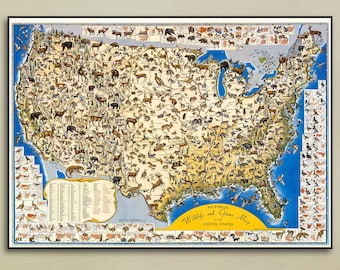 Vintage 1956 USA Wildlife Map Print: Illustrated Zoological Poster