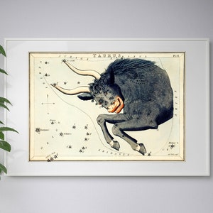 Stier Poster - Vintage Sternzeichen Kunst - Horoskop Zeichen Poster - Astrologie Print - Sternzeichen Wandkunst - Stier Sternzeichen Star Map Print