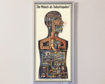 1926 Human Body Map Poster - Das Leben des Menschen - Fritz Kahn&#39;s Poster Print Art - Vintage German Medical Poster - Wall Decor Poster Art
