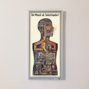1926 Menschen Karte Poster - Das Leben des Menschen - Fritz Kahns Poster Print Kunstdruck - Vintage German Medical Poster - Wanddeko Poster Kunst