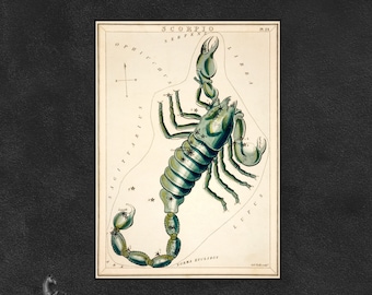 Vintage Scorpio Zodiac Print: Constellation Star Map Art