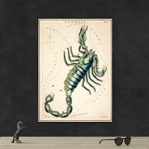 Skorpion Poster Print - Vintage Sternzeichen Kunst - Horoskop Poster - Astrologie Print - Sternbild Sternbild Skorpion Sternbild - Sternzeichen Sternkarte Druck