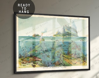 May include: A framed vintage illustration titled "Nature in Descending Regions" with a black frame. The artwork depicts an underwater scene with various marine life and geological features. The words "Ready to Hang" are in a circle in the upper left corner.