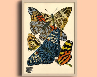 Eugène Séguy Butterfly Print: Vintage French Art Deco Poster