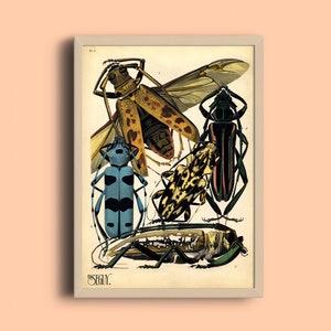 1924 Eugène Séguy Print - Vintage Insects Illustration - Art Deco Poster - Pattern Art Print - French Art Poster - Nature Wall Art - Bug Art