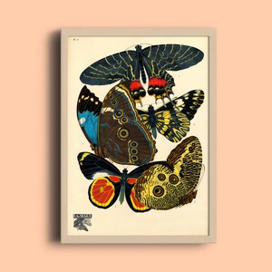 1924 Eugène Séguy Print - Vintage Butterfly Illustration - French Papillon Art Poster - Art Deco Poster - Pattern Art Print -Nature Wall Art