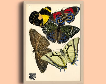 Eugène Séguy Butterfly Print: Vintage French Art Deco Poster