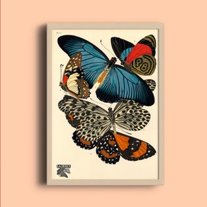 1924 Eugène Séguy Print - Vintage Butterfly Illustration - French Papillon Art Poster - Art Deco Poster - Pattern Art Print -Nature Wall Art