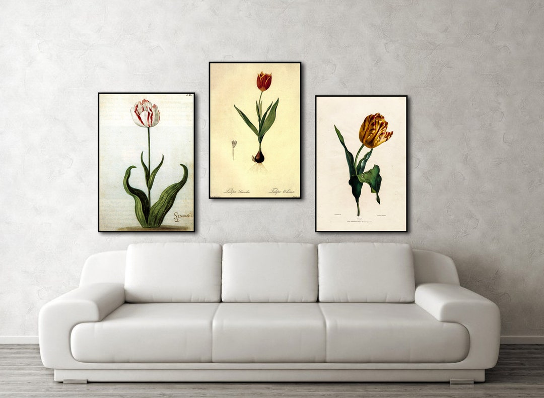 Tulips Print Set of 3 - Botanical Wall Art - Vintage Plant Prints ...
