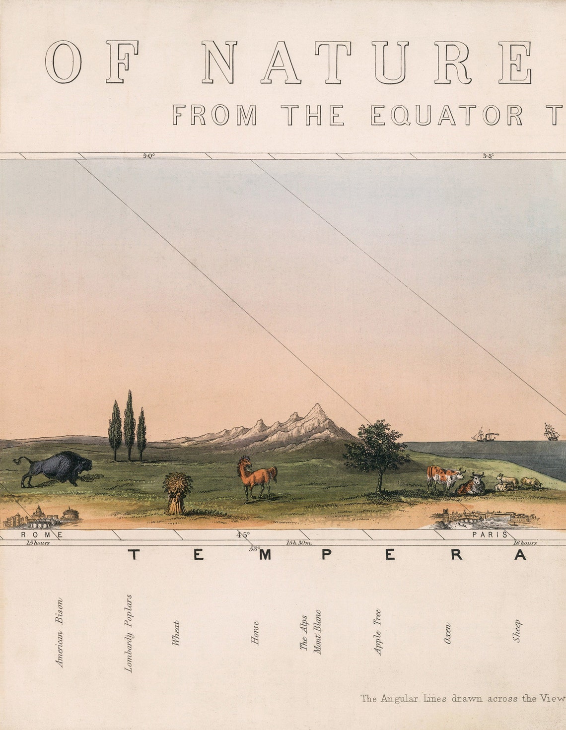 1852 Print Set of 8 Nature In All Climates Poster Equator Etsy 1852 Print Set of 8 Nature In All Climates Poster Equator Etsy