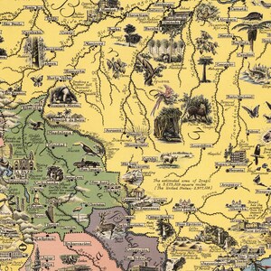 May include: A vintage map of Brazil with hand-drawn illustrations of animals, plants, and landmarks. The map is on a yellow background with green, brown, and pink accents. The map includes the estimated area of Brazil in square miles.