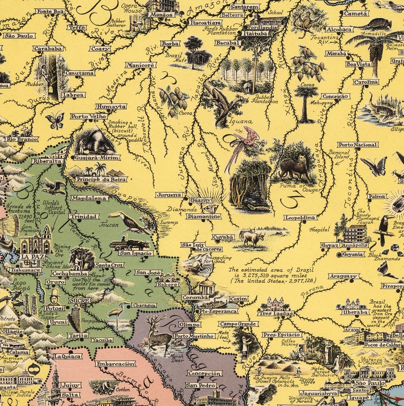 May include: A vintage map of Brazil with hand-drawn illustrations of animals, plants, and landmarks. The map is on a yellow background with green, brown, and pink accents. The map includes the estimated area of Brazil in square miles.