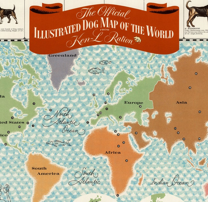 1967 Dog Map of the World Vintage Dogs Illustrations Dogs Poster Print