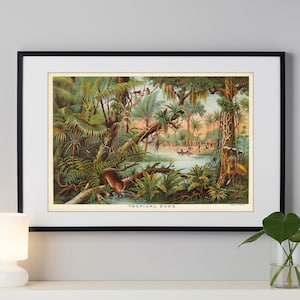1893 Tropische Zone Poster - Yaggys Vintage Lehrposter Kunst - Tropische Wanddeko Print - Illustrierte Natur Poster Wandkunst