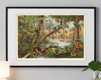 Tropical Zone Poster: Vintage Nature Illustration Art Print