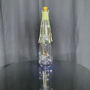 13” Don Julio Solar Light, Clear Bottle, Lgt Green/OffWhite cord, White Solar LED lights, Coastal, Boho