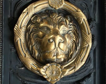 Vintage Ornate Brass Lion Head Door Knocker