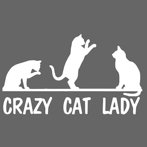 Crazy Cat Lady Vinyl Car Truck Van DECAL Window STICKER Kitty Pets