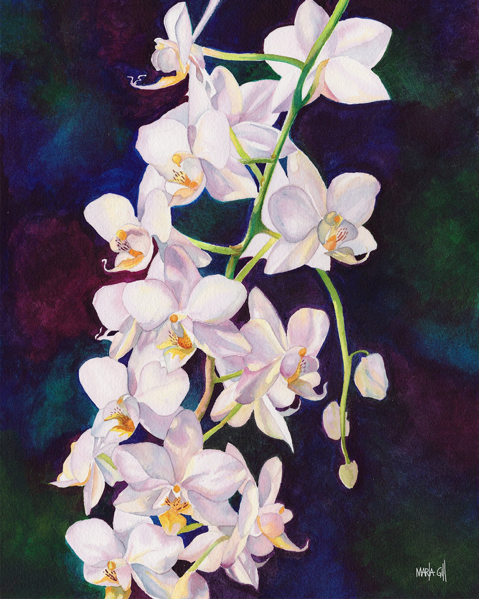 Orchid Watercolour Fine Art Print, Wall Art, Wall Decor Etsy UK