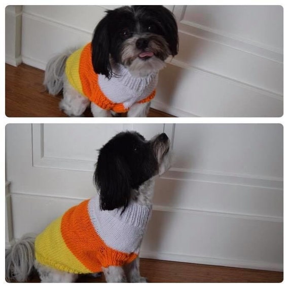candy corn dog sweater