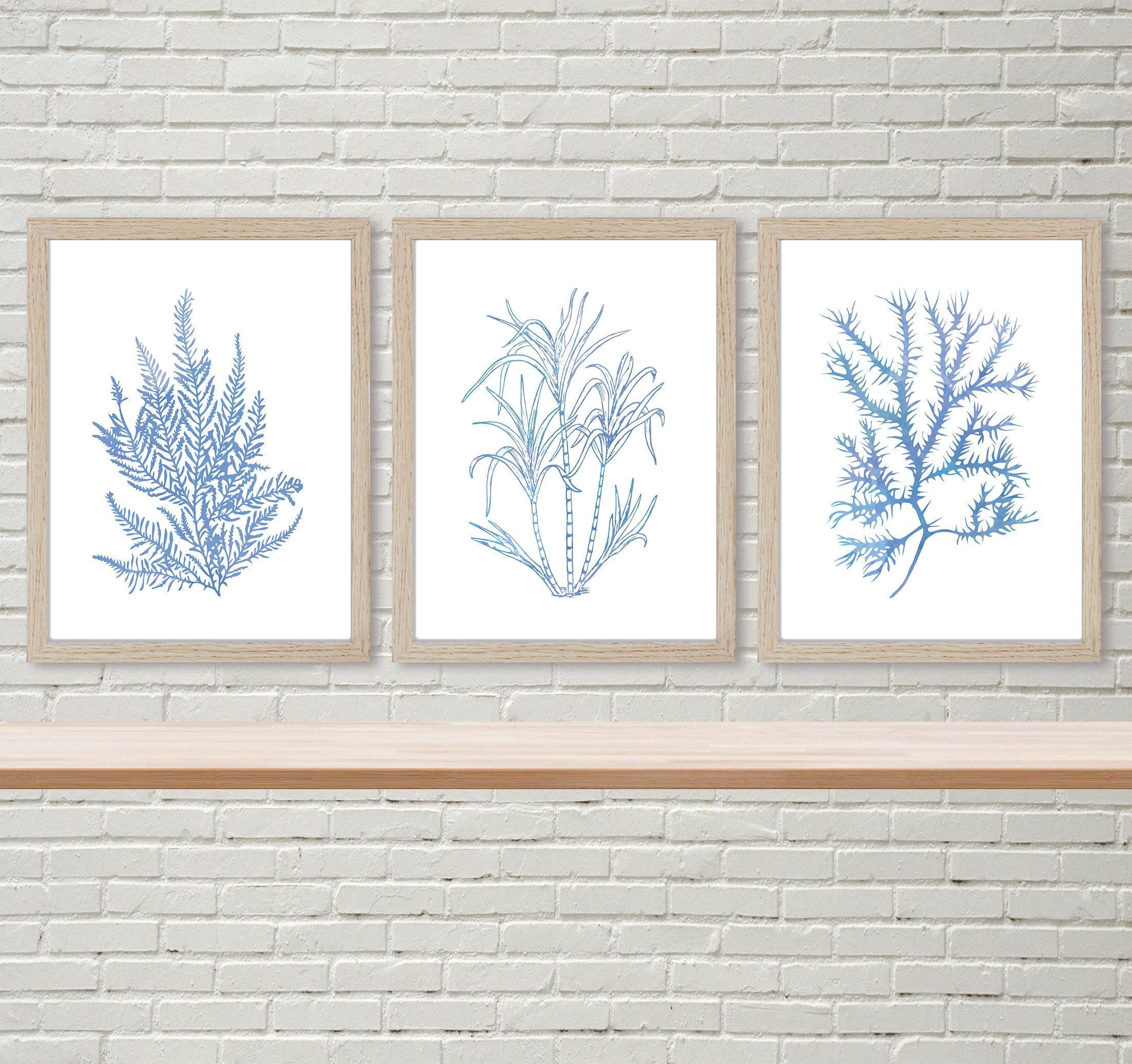 Watercolor Seaweed Prints Nautical wall art Sea plants Blue Etsy