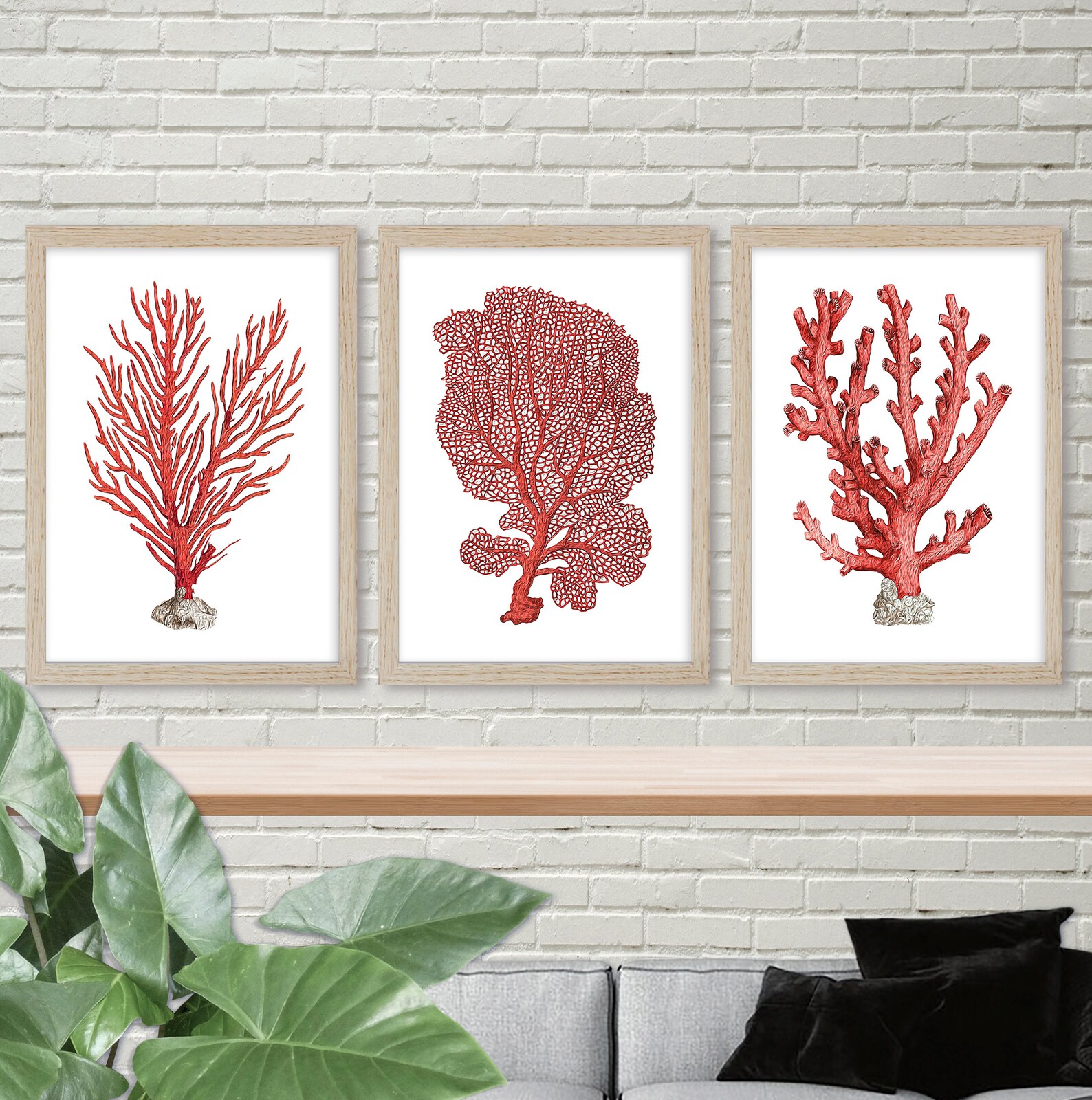 Red coral wall art Coral Coastal decor Ocean life Art print Etsy