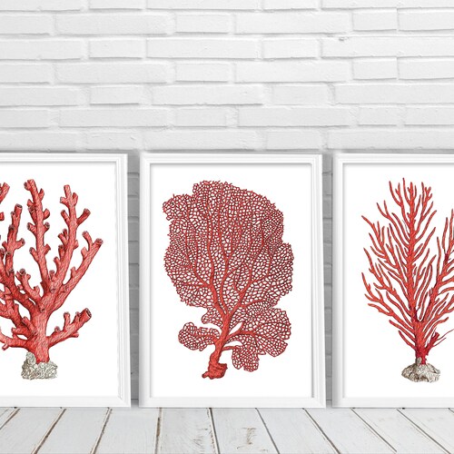 Orange Pink Coral Red Pink 4 Art Sea Vintage Printables | Etsy