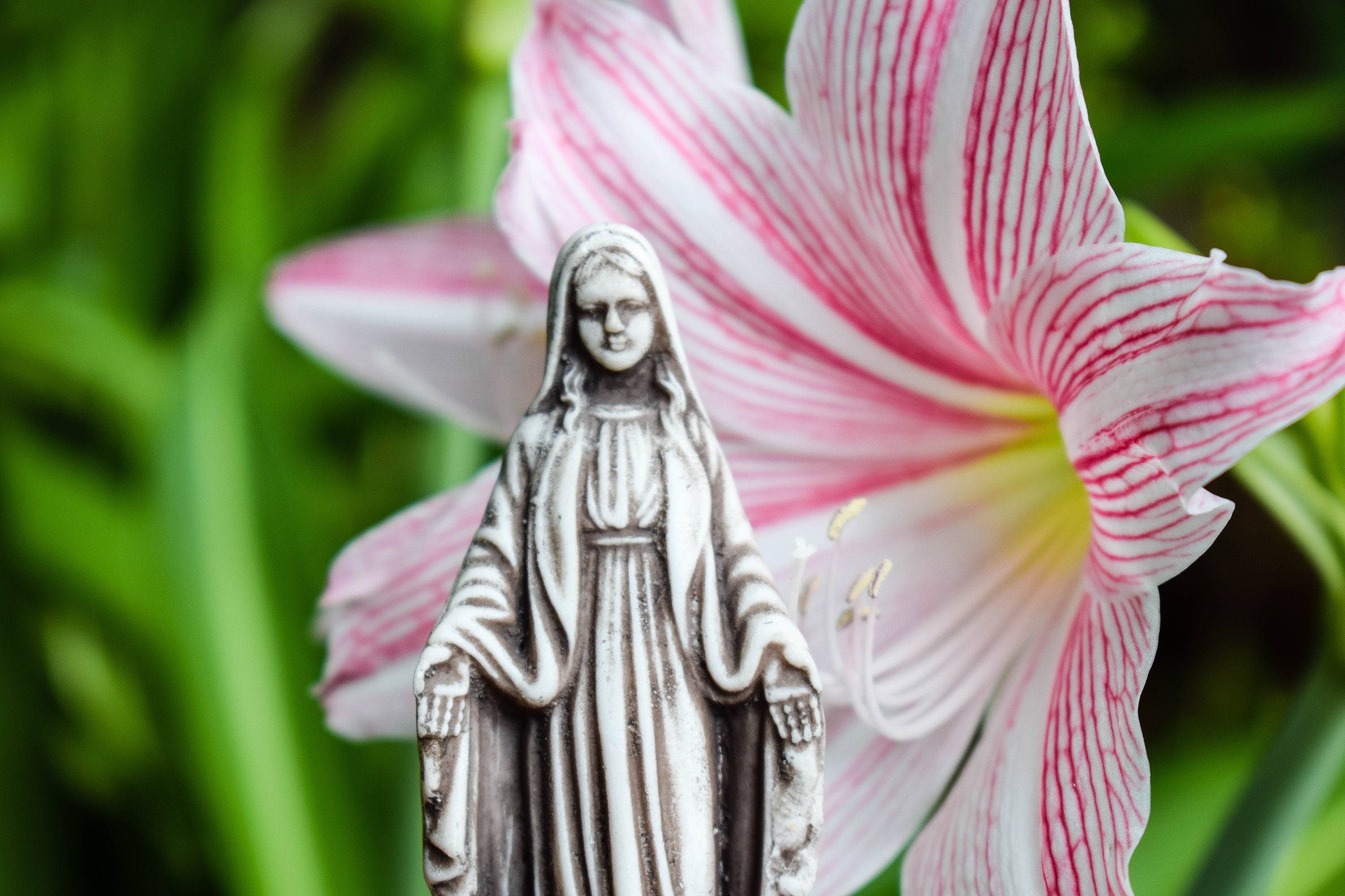 Virgin Mary Statue Our Lady Statue Jesus Mother Mary Etsy Australia