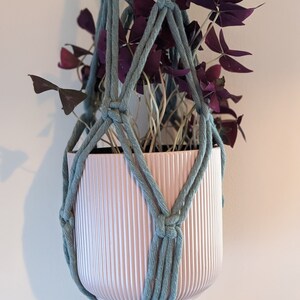 Puede incluir: Un macetero de macramé azul claro con una maceta rosa y una planta morada colgando dentro.