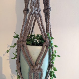 May include: A macrame plant hanger made of brown rope with a light blue ceramic pot and a green plant hanging from it.
