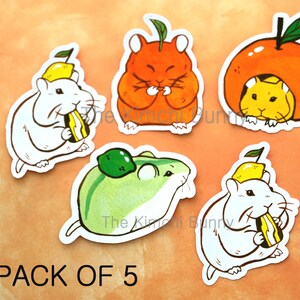 May include: A set of five stickers featuring cute cartoon hamsters wearing fruit hats. The hamsters are eating fruit and are in various poses. The stickers are printed on white paper and have a glossy finish. The text "PACK OF 5" is printed at the bottom of the image.