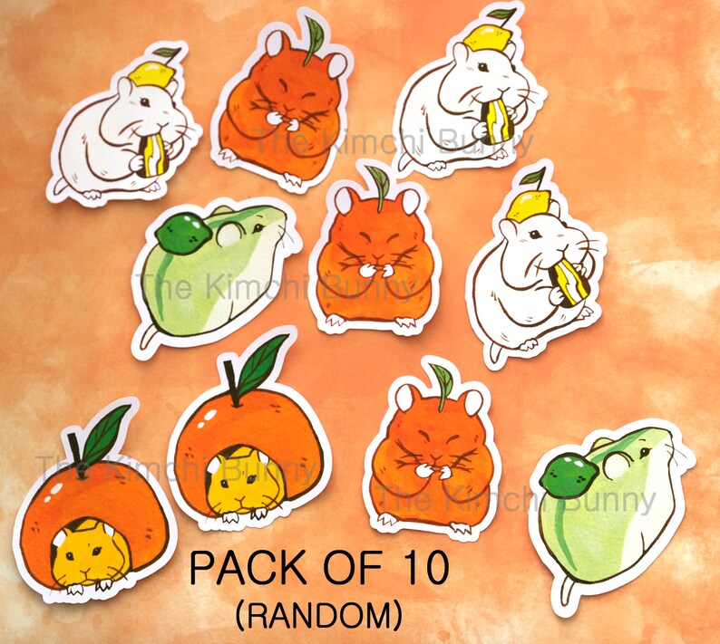 May include: A pack of 10 illustrated stickers featuring cute hamsters eating various fruits. The stickers are printed on white paper and feature a variety of colors, including orange, yellow, green, and white. The text "PACK OF 10 (RANDOM)" is printed at the bottom of the image.