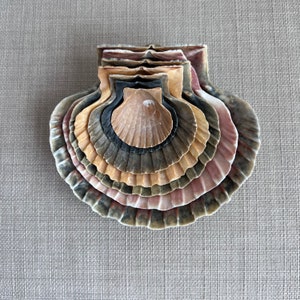 Scallop Shells for Art projects, Goddess Offering Shells, Sea Witch Altar, Offering Plate, Water Altar,Aphrodite Bowl,Sea Witch Kit, 7 Sizes