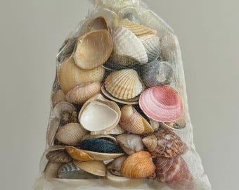 Conchiglie Decorative Naturali - 120 G, Mix Con Stelle Marine, Per Fai Da Te E Decorazioni - Foto 4