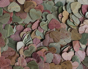 Confettis de feuilles d'eucalyptus en gros coeur pour mariage, idée de sortie de mariage, confettis de mariage de printemps, confettis de feuilles de coeur popper de demoiselle d'honneur, 1 tasse