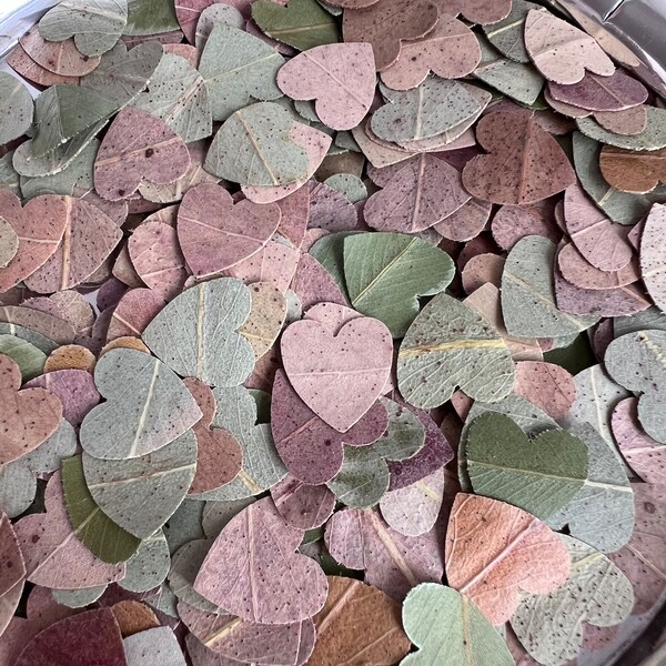 Confettis de feuilles d'eucalyptus en gros coeur pour mariage, idée de sortie de mariage, confettis de mariage de printemps, confettis coeur popper de demoiselle d'honneur, 1 tasse