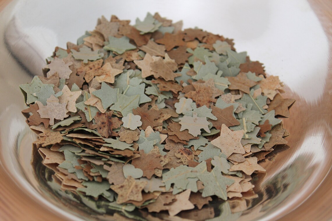 Biodegradable Confetti Leaf Confetti Natural Confetti Eco Etsy