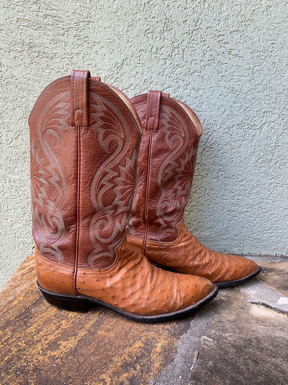 Dan post top ostrich boots