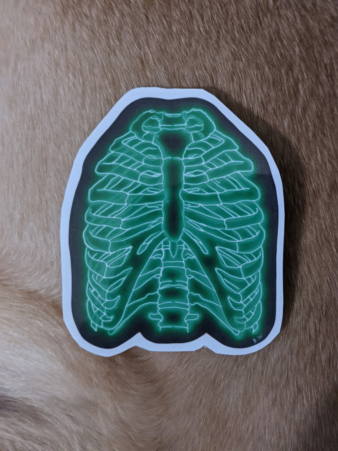 Neon Rib Sticker Skeleton Sticker Neon Skeleton Sticker Etsy UK