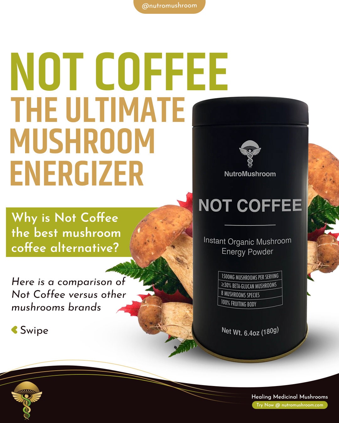 NOT COFFEE Instant Organic Mushroom Energy Powder Nutromushroom Etsy