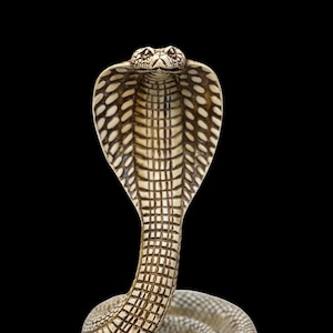 Egyptian Snake, Wadjet, Uraeus, and Cobra Mythology in Egypt Ancient Egyptian Goddess of Protection Replica BC Made in Egypt