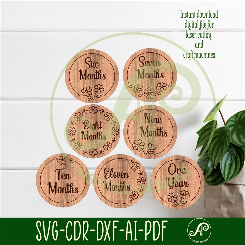 Baby Milestone Discs Daisy Floral SVG, Monthly Milestones Laser Cut ...