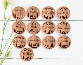 Woodland Baby Milestone Discs SVG, Forest Animals Monthly Baby Milestones (digital download)