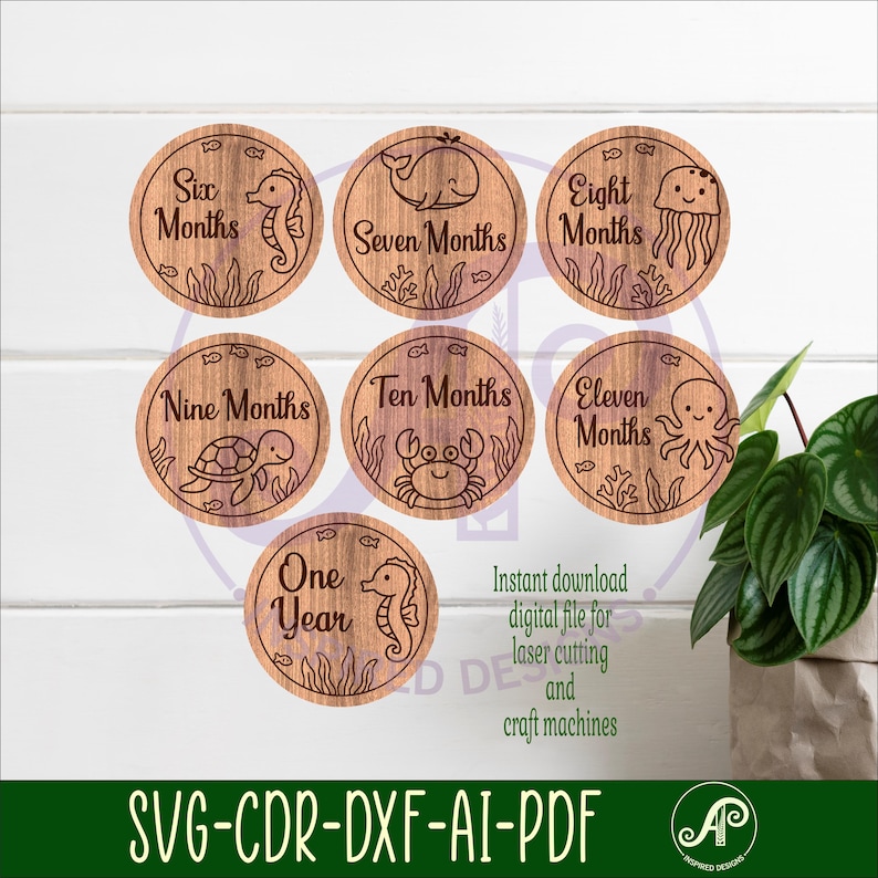 Ocean Animals Monthly Milestone Discs - Laser Engraved SVG Baby Photo ...